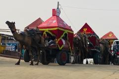IMG_8977